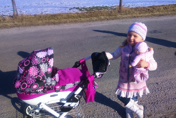 Rukávník na panenkový kočárek Dětský svět černorůžový