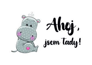 Obrázek pro potisk č.72 Ahoj, jsem tady